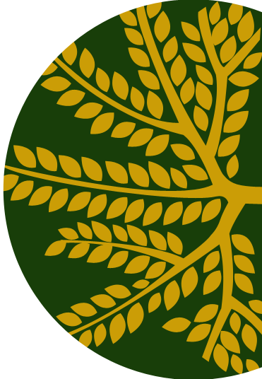 footer shape